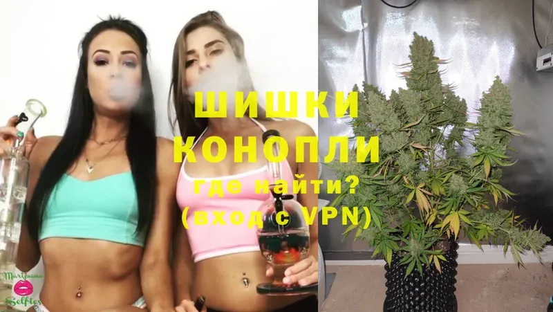 Бошки марихуана White Widow  Кяхта 